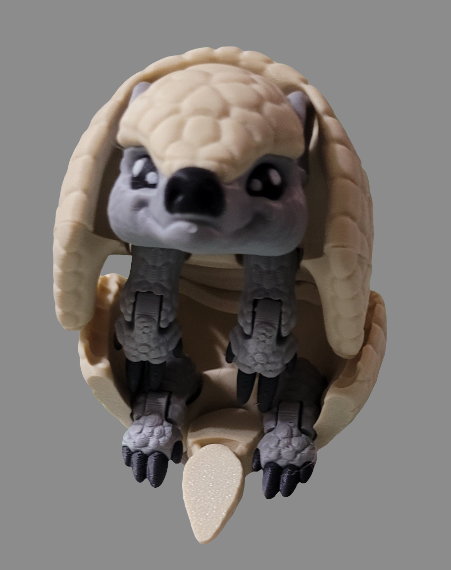 Armadillo
