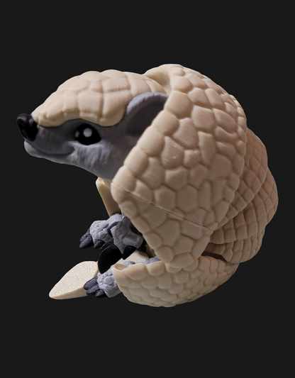 Armadillo