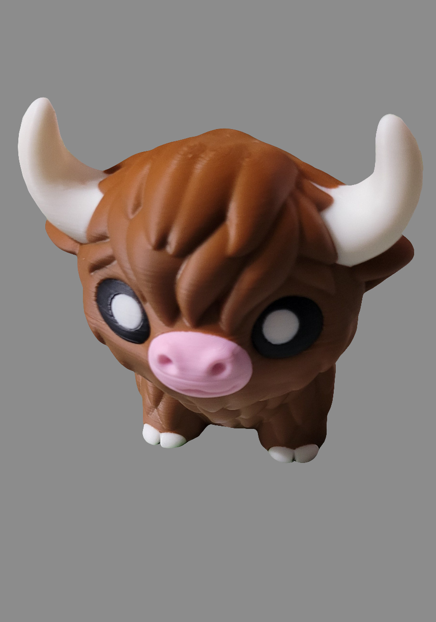 Highland Cow