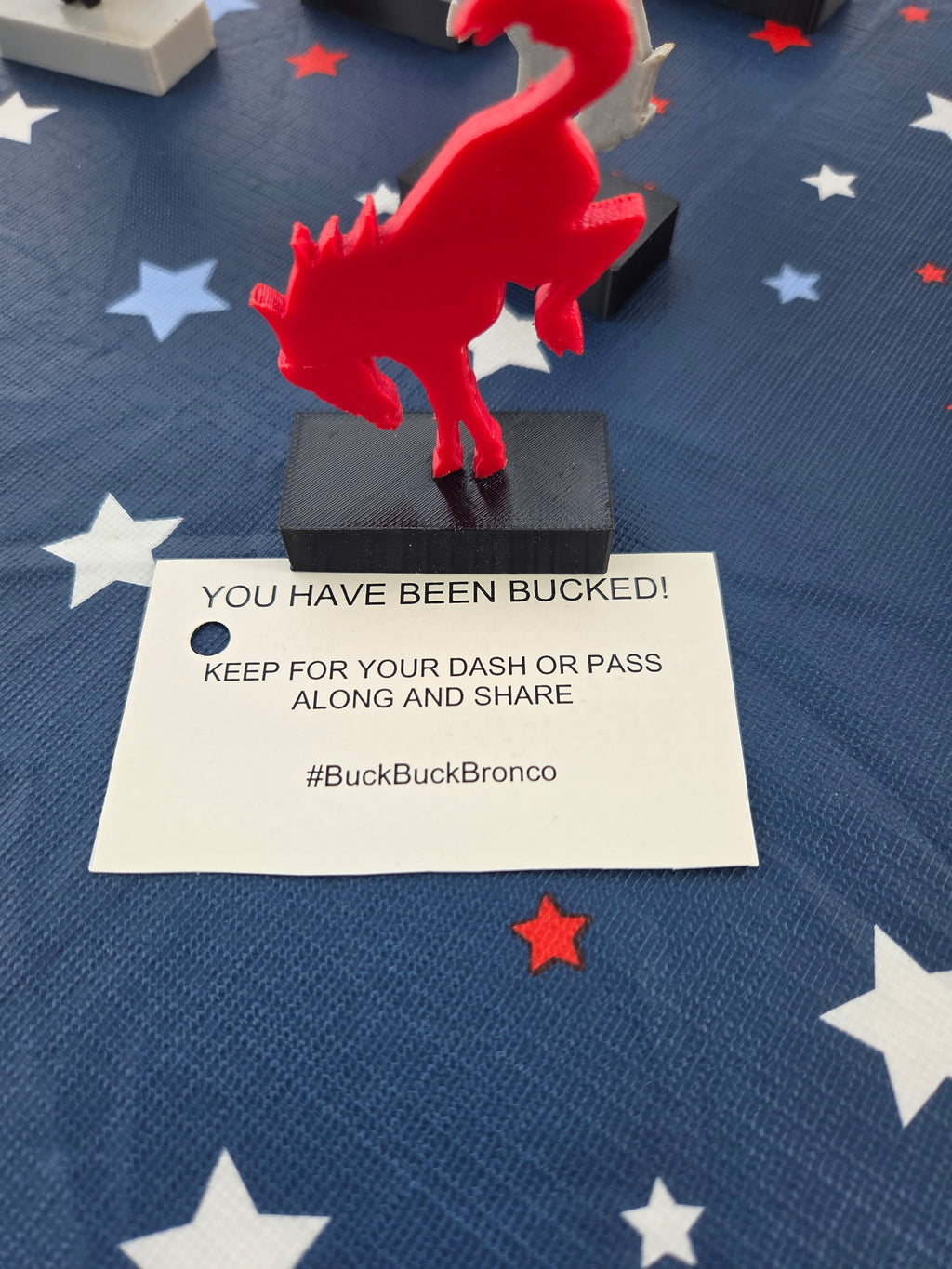 Buck Buck Bronco